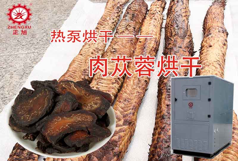 正旭肉蓯蓉熱泵烘干工藝（烘干溫度、時間）